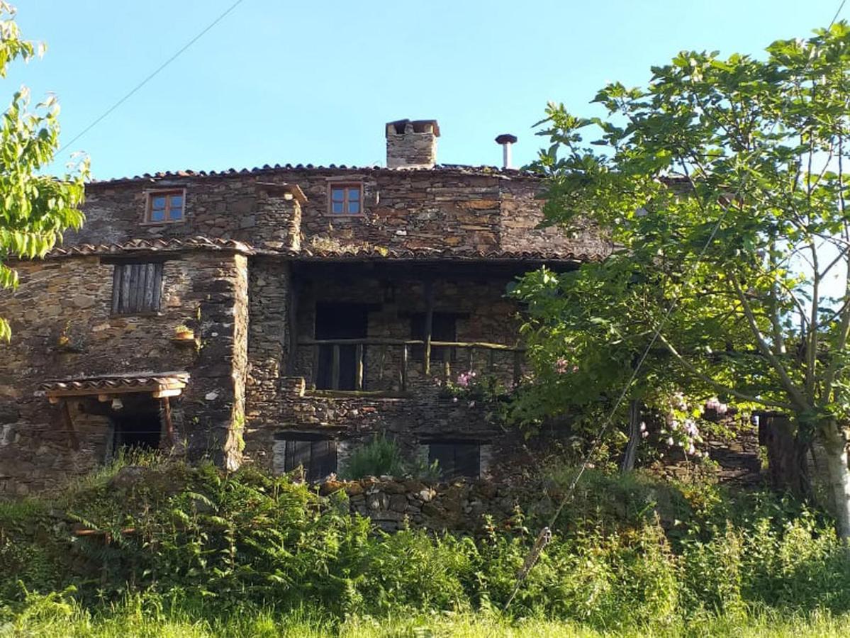 Casa Dos Livros Villa Talasnal Eksteriør billede